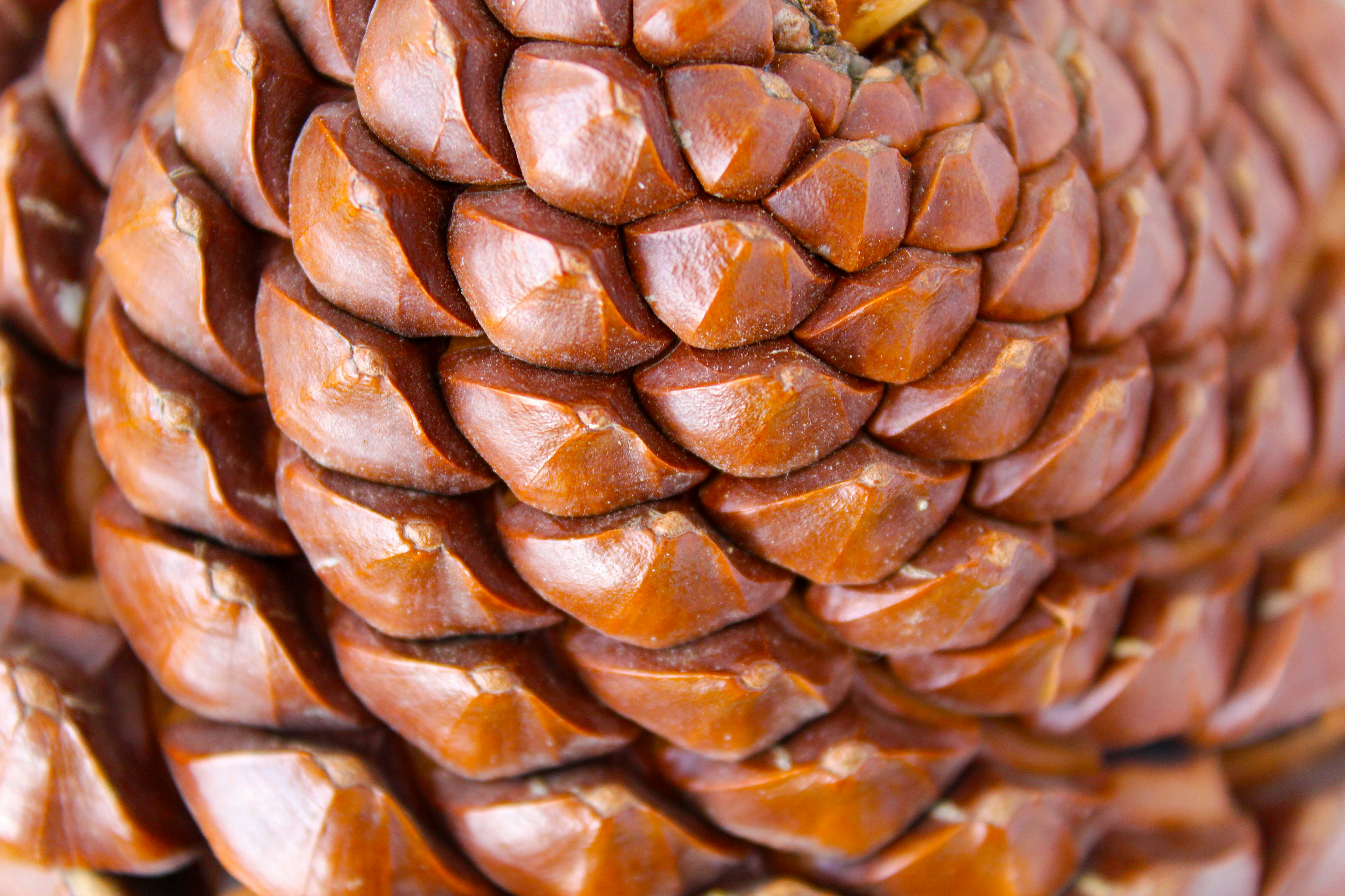 Professional energy trading operations